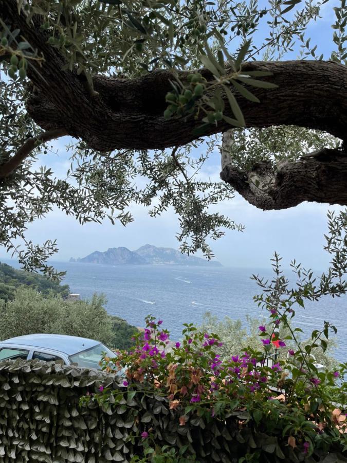 Villa Giardino Del Vesuvio, Pompei à Terzigno Extérieur photo